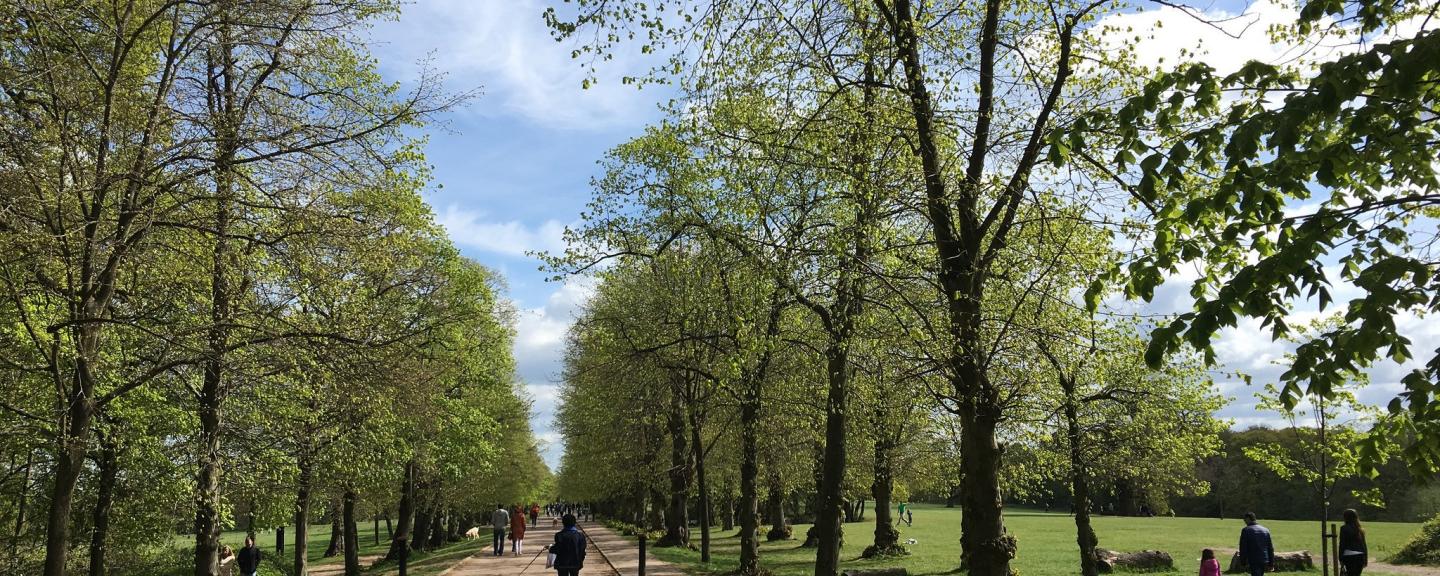trent park