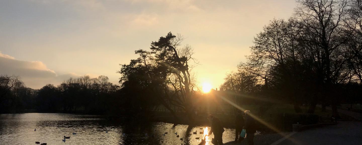 The lake in Grovelands Park