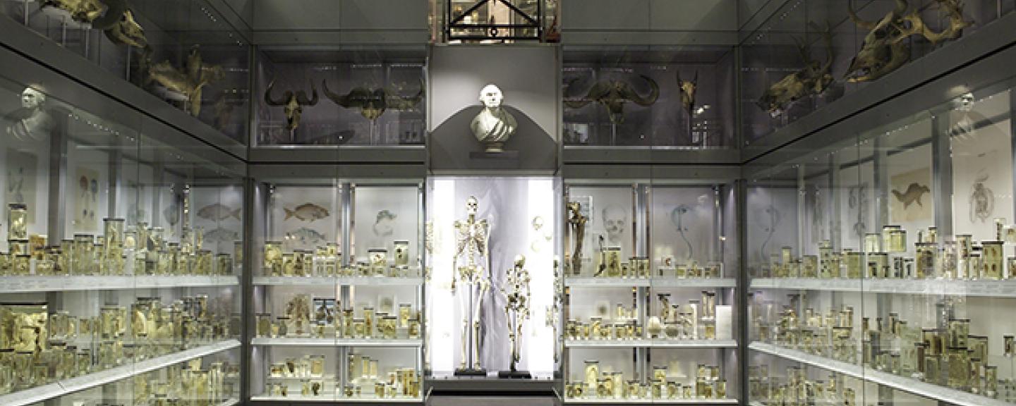 Image of specimen room, white romm filled with glass jars with anatomical specimens 