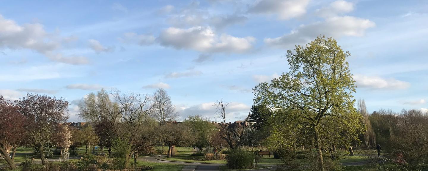 A landscape shot of greenery in Lordship Recreation Ground