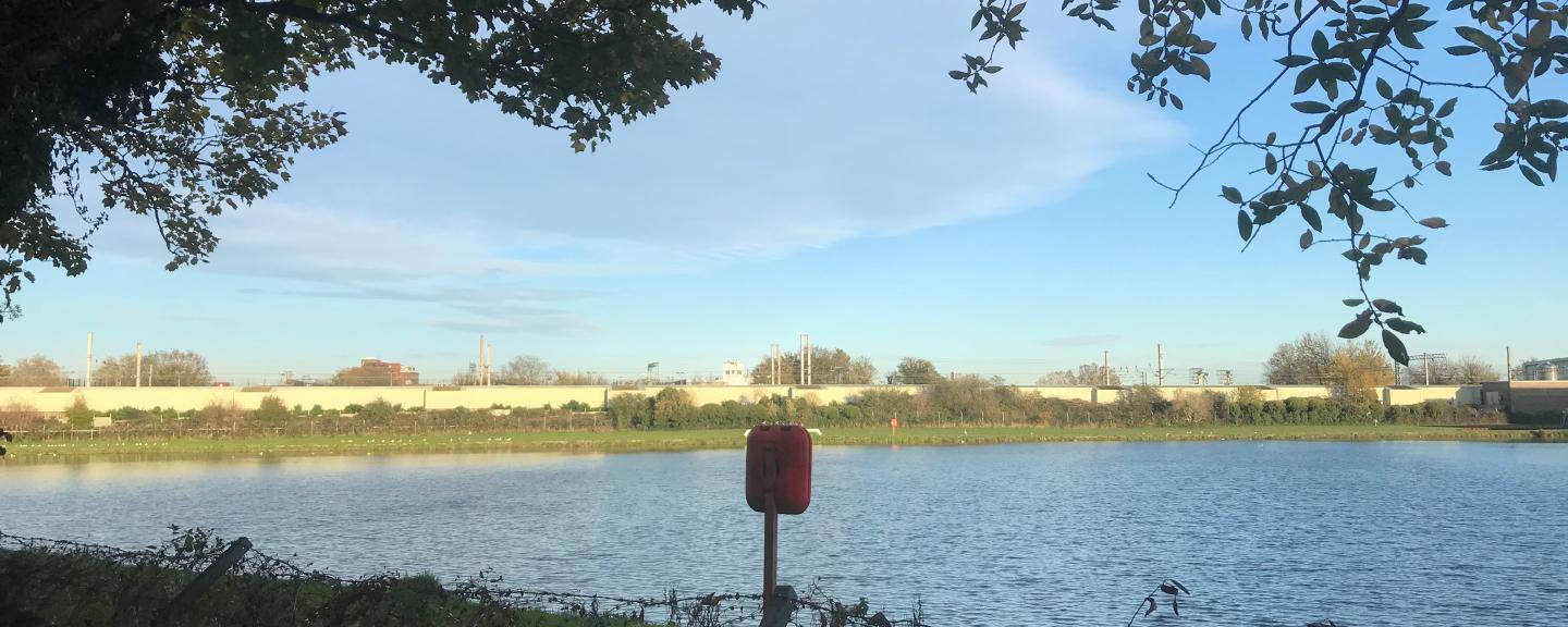 A view overlooking a reservoir.