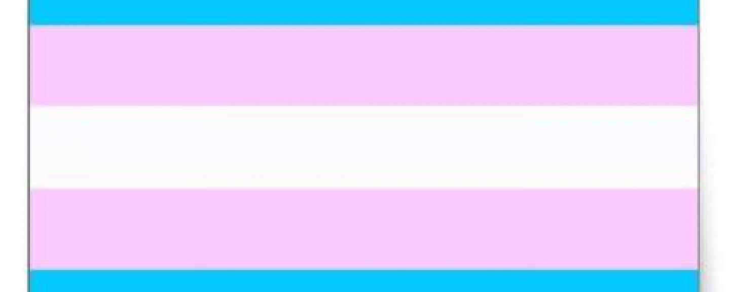Trans flag