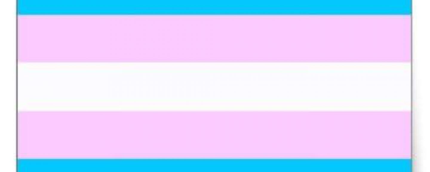 Trans flag