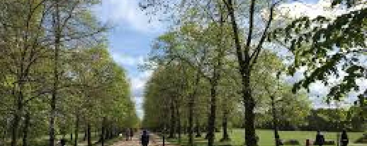 Trent park