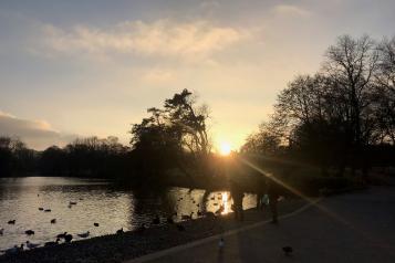 The lake in Grovelands Park