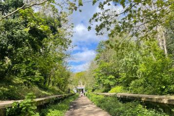 Parkland Walk