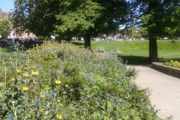 Woodside Park Haringey